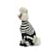 5" Dog in Skeleton Costume Tabletop Décor by Ashland®